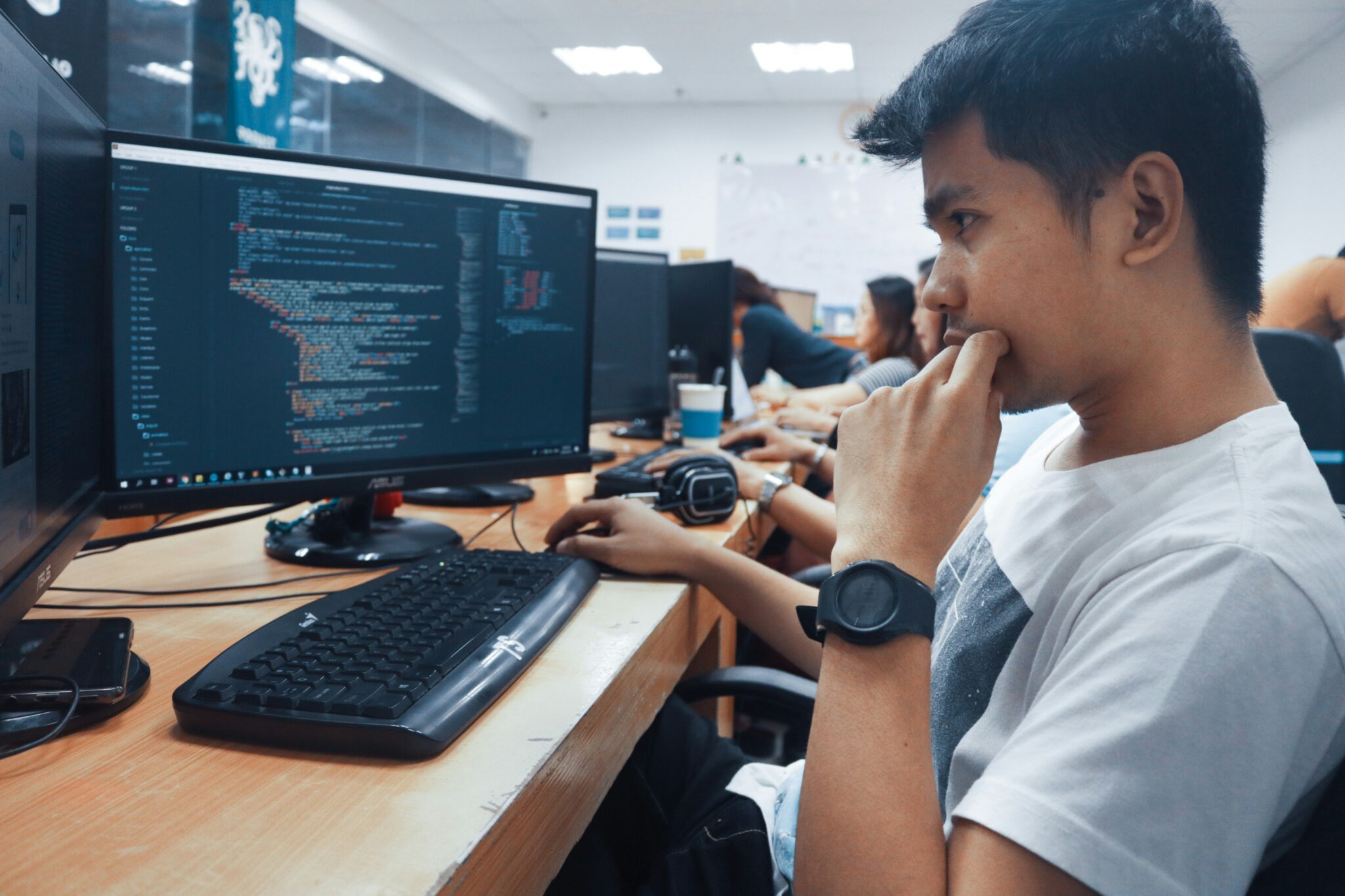 software development